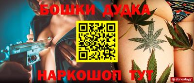спиды Обь