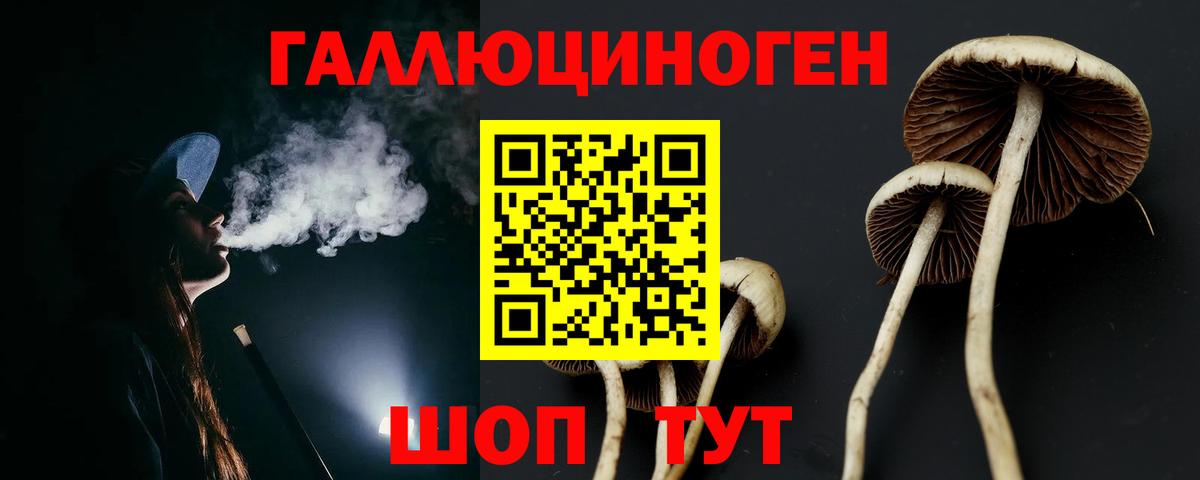 Галлюциногенные грибы прущие грибы  Вход с VPN  Среднеуральск 